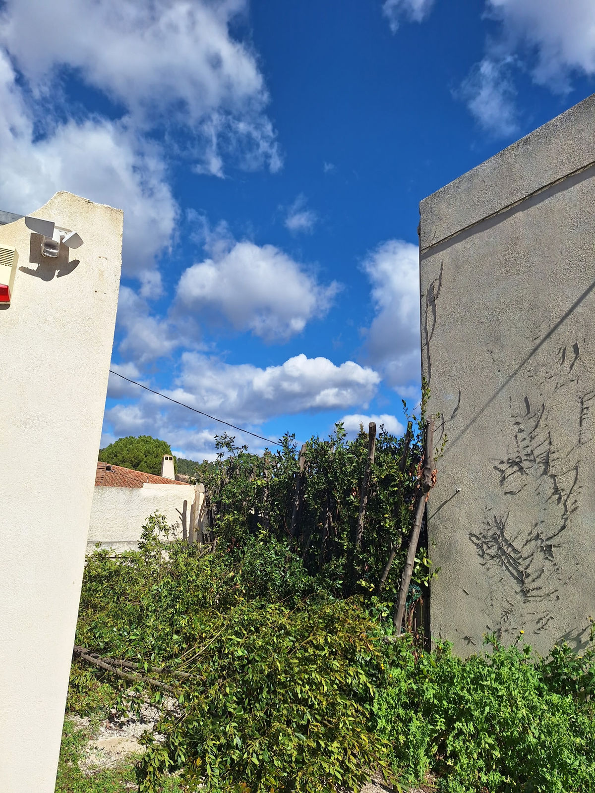 Élagage sécuritaire N&E Élagage