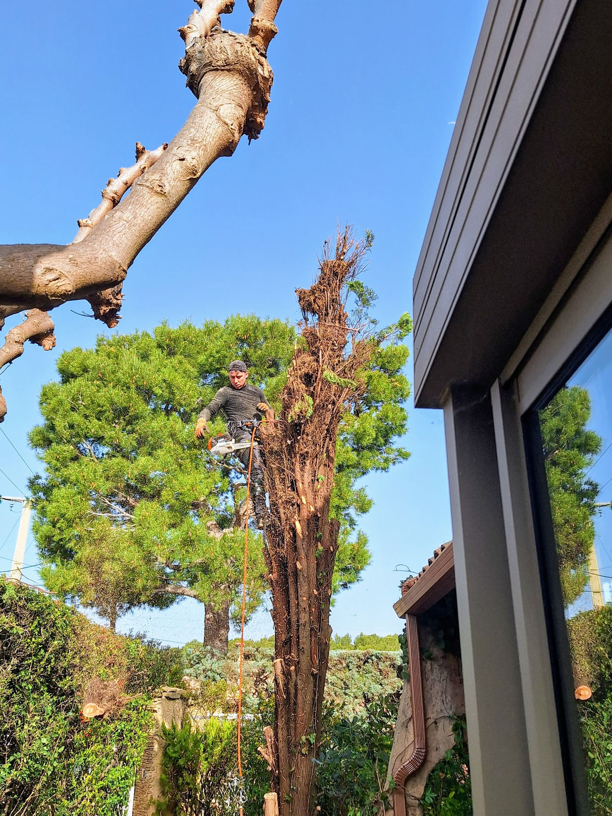 Chantier abattage Vitrolles