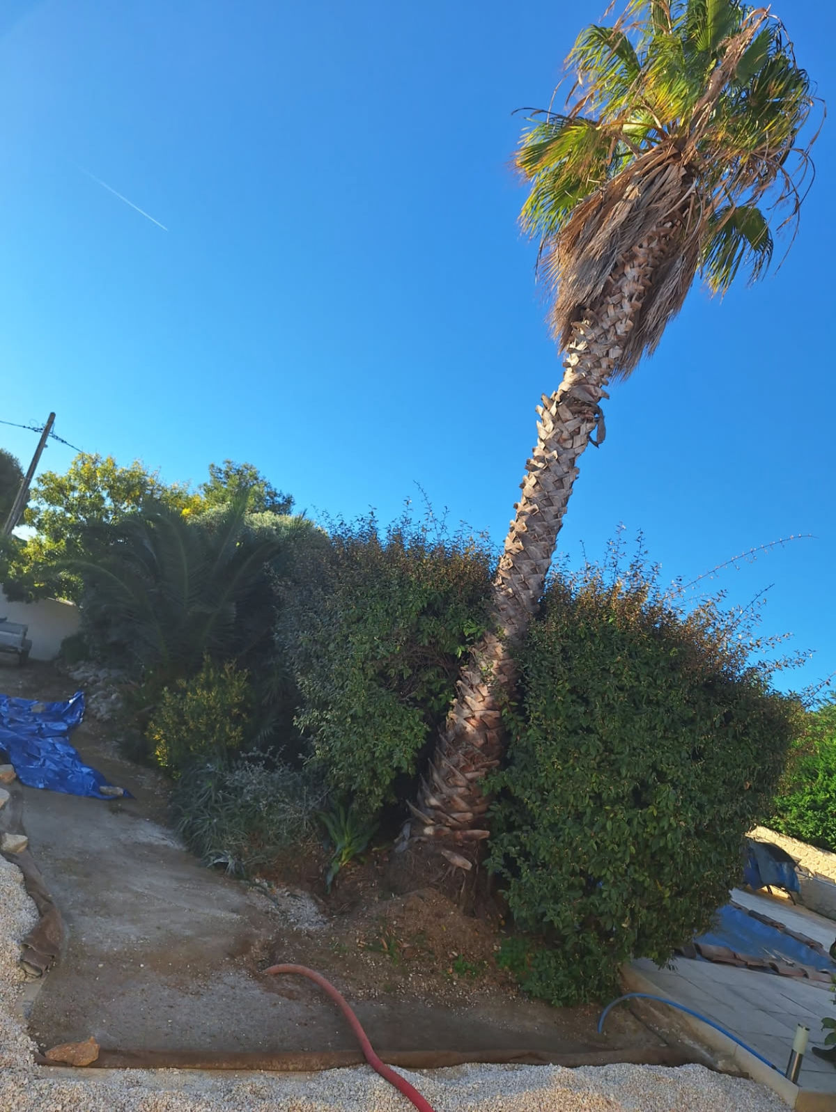 Chantier élagage Châteauneuf-les-Martigues