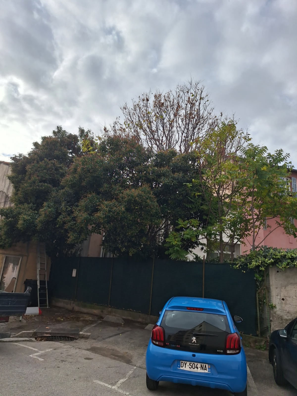 Intervention N&E secteur Berre-l'Étang