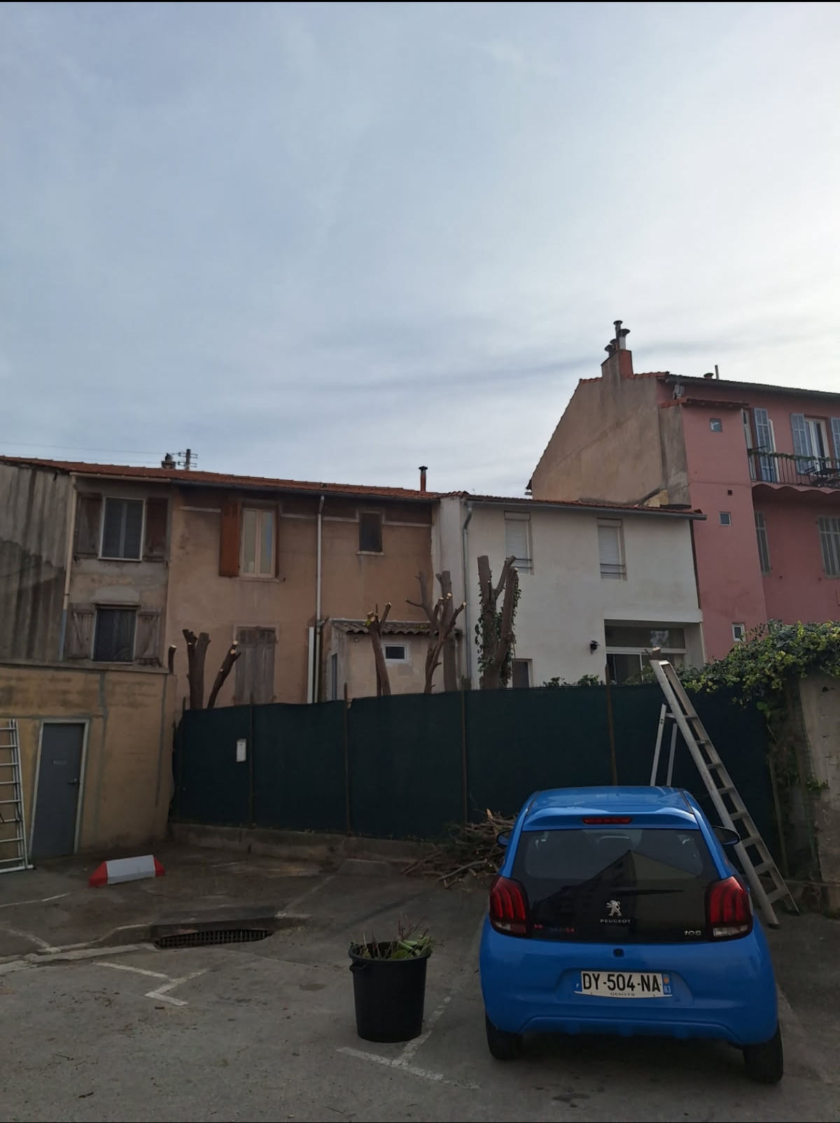 Élagage arbre fruitier N&E