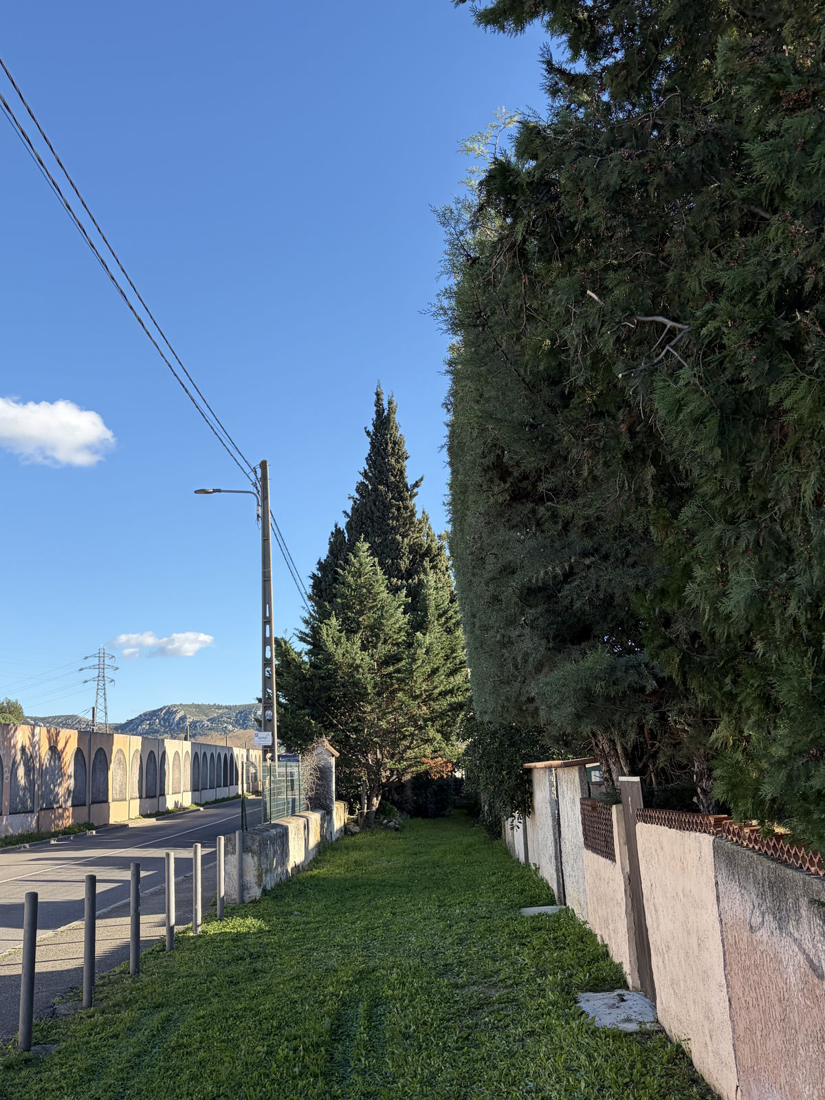 Élagage et taille N&E Élagage